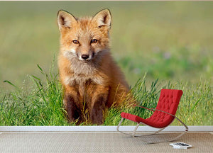 Fox Kit Wall Mural Wallpaper - Canvas Art Rocks - 2