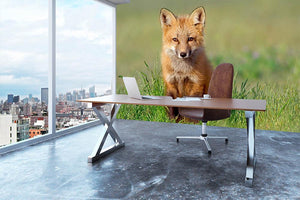 Fox Kit Wall Mural Wallpaper - Canvas Art Rocks - 3