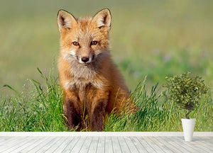 Fox Kit Wall Mural Wallpaper - Canvas Art Rocks - 4