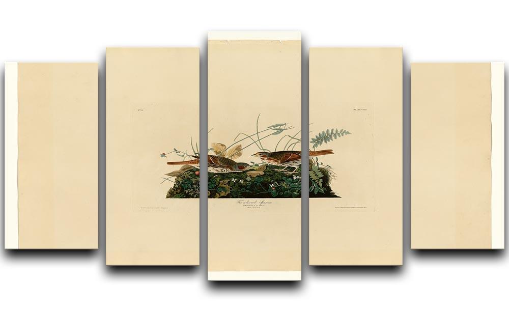 Fox coloured Sparrow by Audubon 5 Split Panel Canvas - Canvas Art Rocks - 1