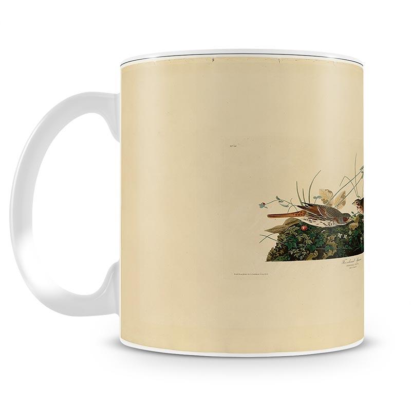 Fox coloured Sparrow by Audubon Mug - Canvas Art Rocks - 1
