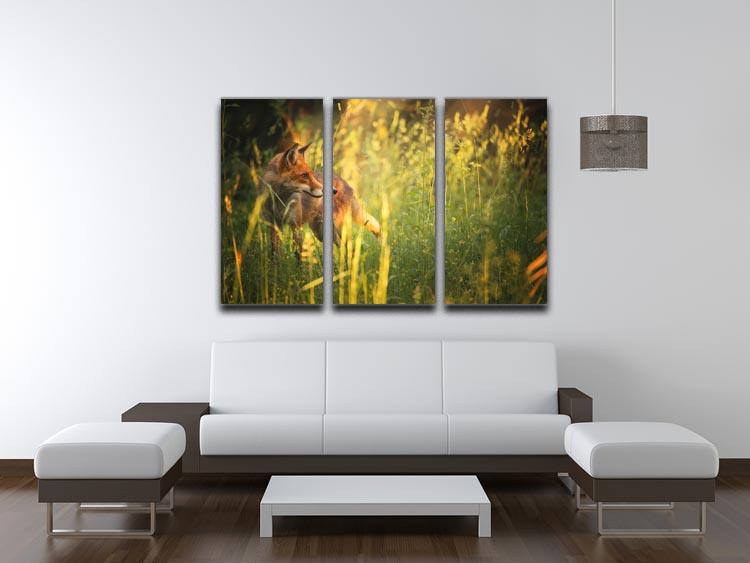 Fox on the summer forest 3 Split Panel Canvas Print - Canvas Art Rocks - 3
