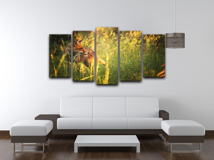 Fox on the summer forest 5 Split Panel Canvas - Canvas Art Rocks - 3