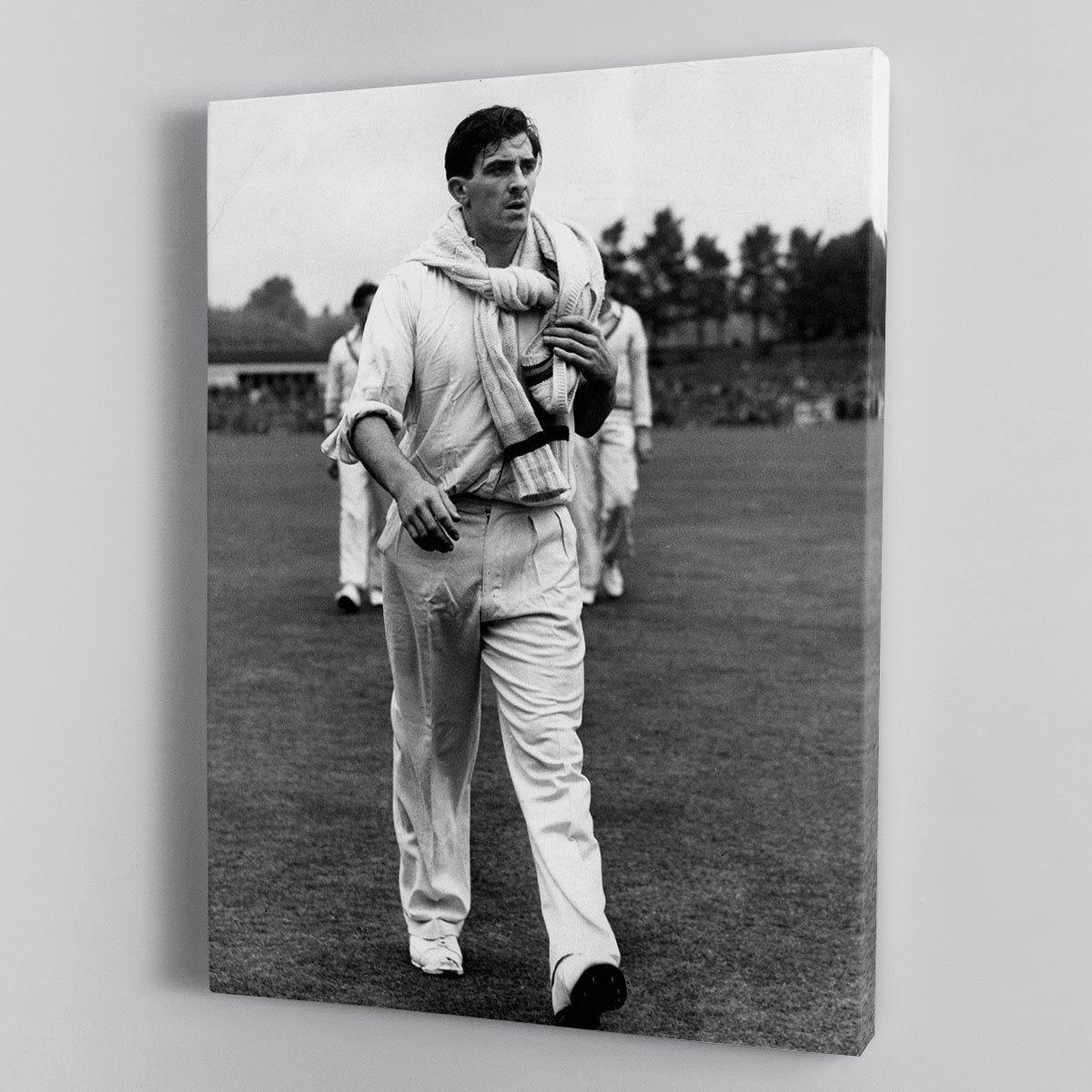 Fred Trueman 1954 Canvas Print or Poster
