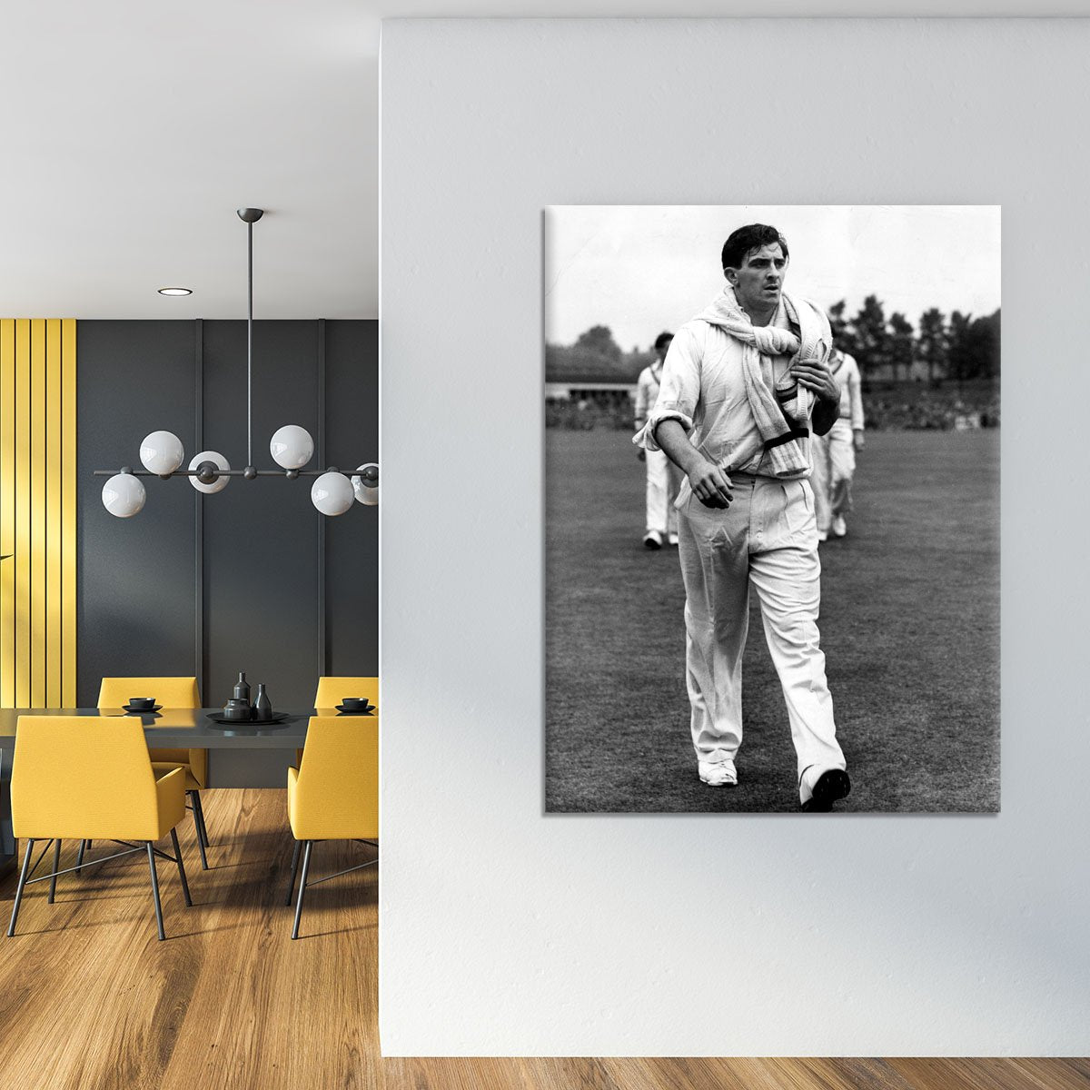 Fred Trueman 1954 Canvas Print or Poster