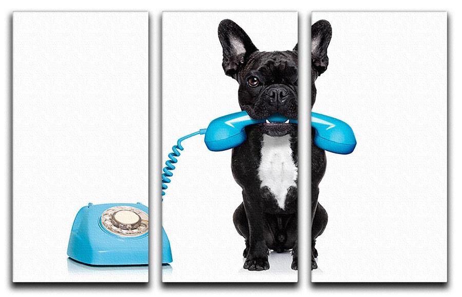 French bulldog dog on the phone or telephone in mouth 3 Split Panel Canvas Print - Canvas Art Rocks - 1