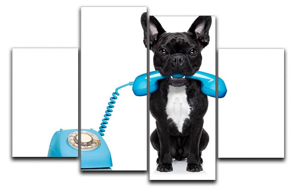 French bulldog dog on the phone or telephone in mouth 4 Split Panel Canvas - Canvas Art Rocks - 1