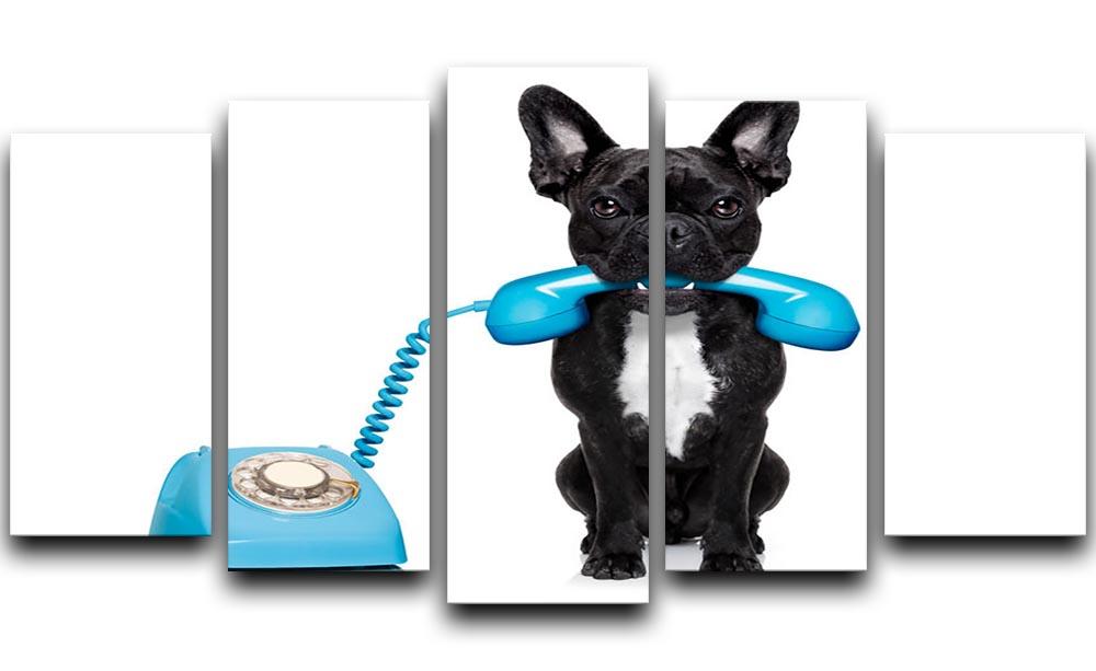French bulldog dog on the phone or telephone in mouth 5 Split Panel Canvas - Canvas Art Rocks - 1