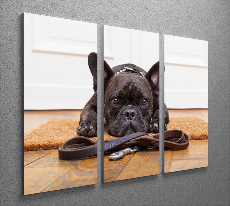 French bulldog dog waiting and begging to go for a walk with owner 3 Split Panel Canvas Print - Canvas Art Rocks - 2