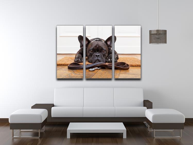 French bulldog dog waiting and begging to go for a walk with owner 3 Split Panel Canvas Print - Canvas Art Rocks - 3