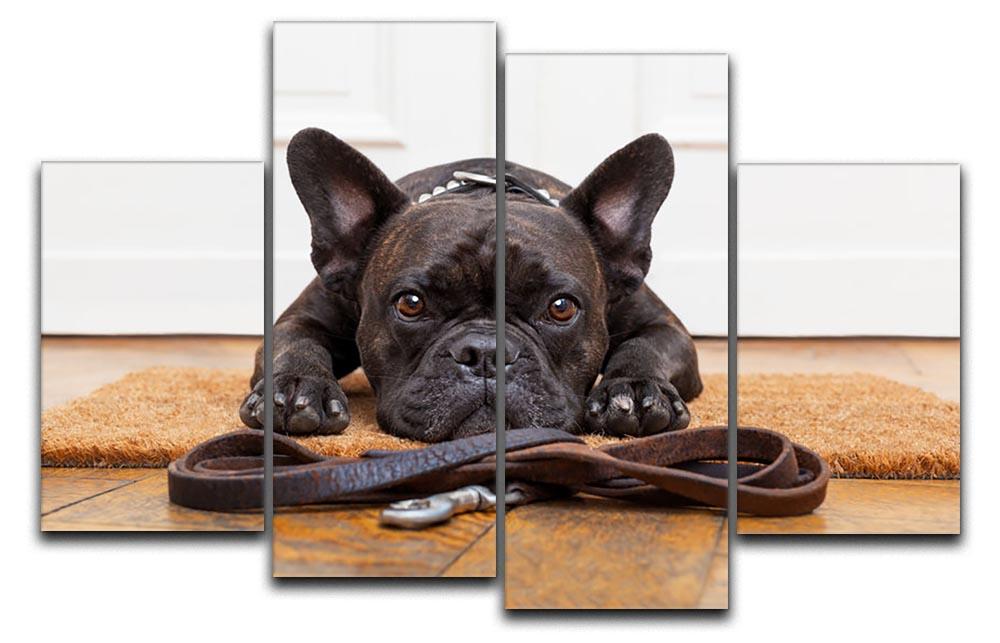 French bulldog dog waiting and begging to go for a walk with owner 4 Split Panel Canvas - Canvas Art Rocks - 1