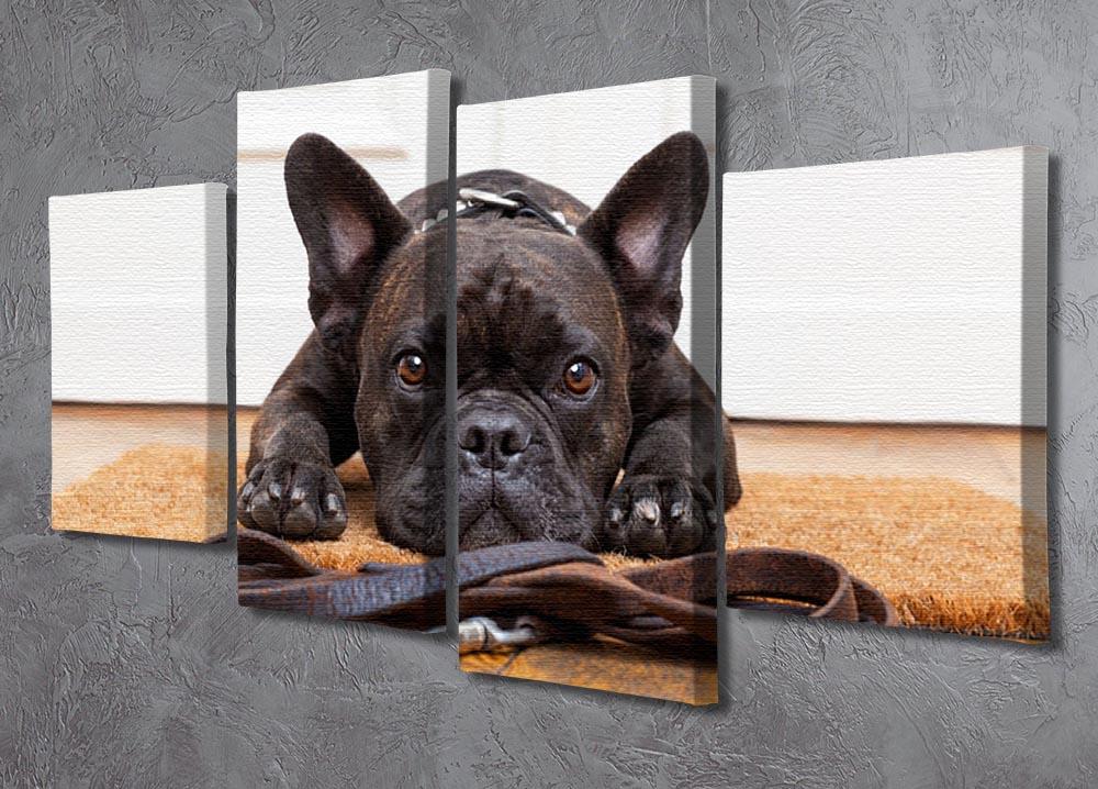 French bulldog dog waiting and begging to go for a walk with owner 4 Split Panel Canvas - Canvas Art Rocks - 2