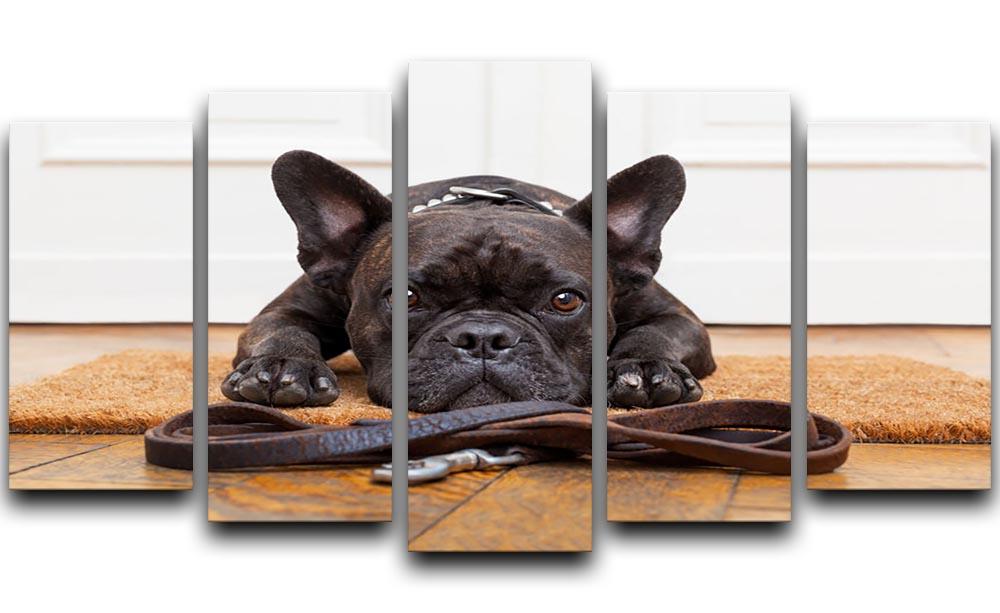 French bulldog dog waiting and begging to go for a walk with owner 5 Split Panel Canvas - Canvas Art Rocks - 1