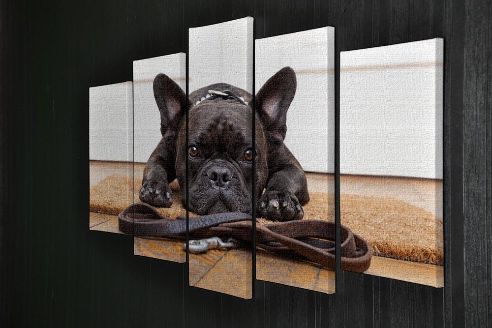 French bulldog dog waiting and begging to go for a walk with owner 5 Split Panel Canvas - Canvas Art Rocks - 2
