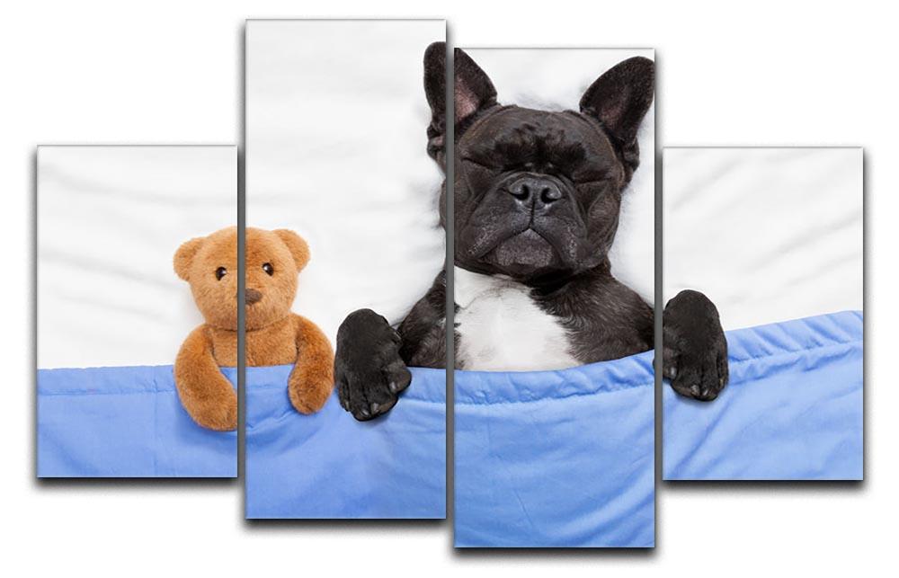 French bulldog dog with headache and hangover sleeping in bed 4 Split Panel Canvas - Canvas Art Rocks - 1