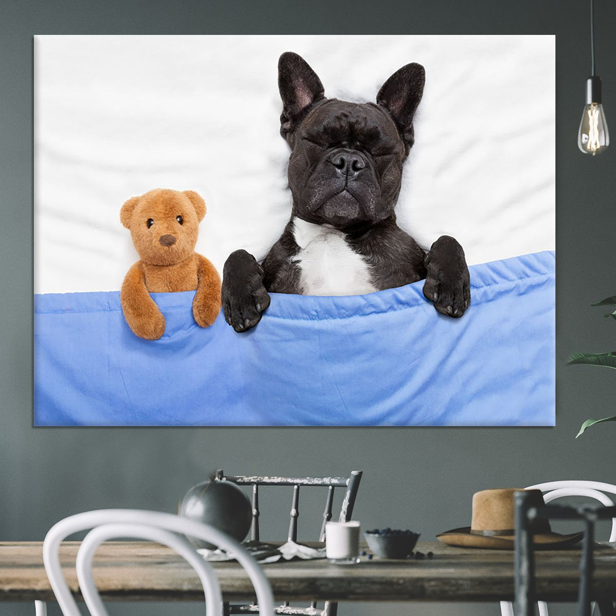French bulldog dog with headache and hangover sleeping in bed Canvas Print or Poster