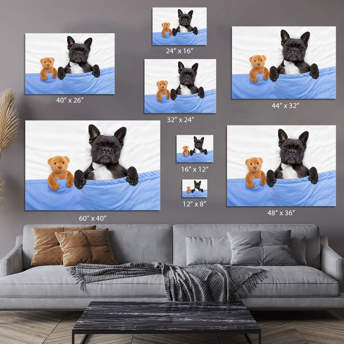 French bulldog dog with headache and hangover sleeping in bed Canvas Print or Poster