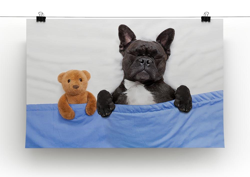 French bulldog dog with headache and hangover sleeping in bed Canvas Print or Poster - Canvas Art Rocks - 2