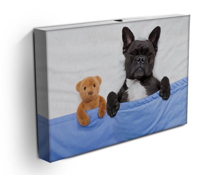 French bulldog dog with headache and hangover sleeping in bed Canvas Print or Poster - Canvas Art Rocks - 3