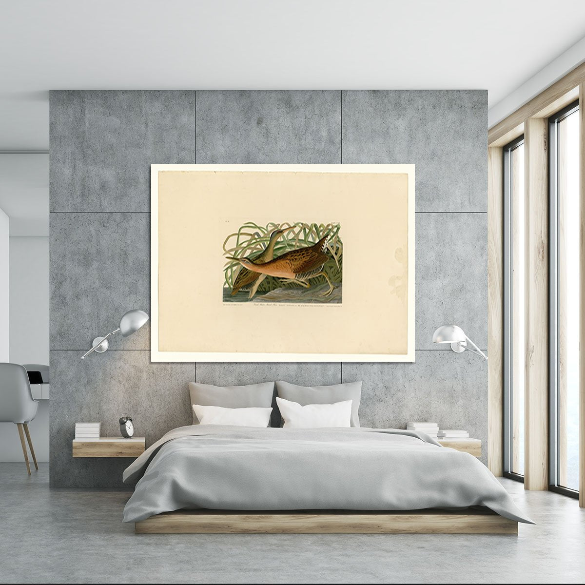Fresh Water Marsh Hen by Audubon Canvas Print or Poster