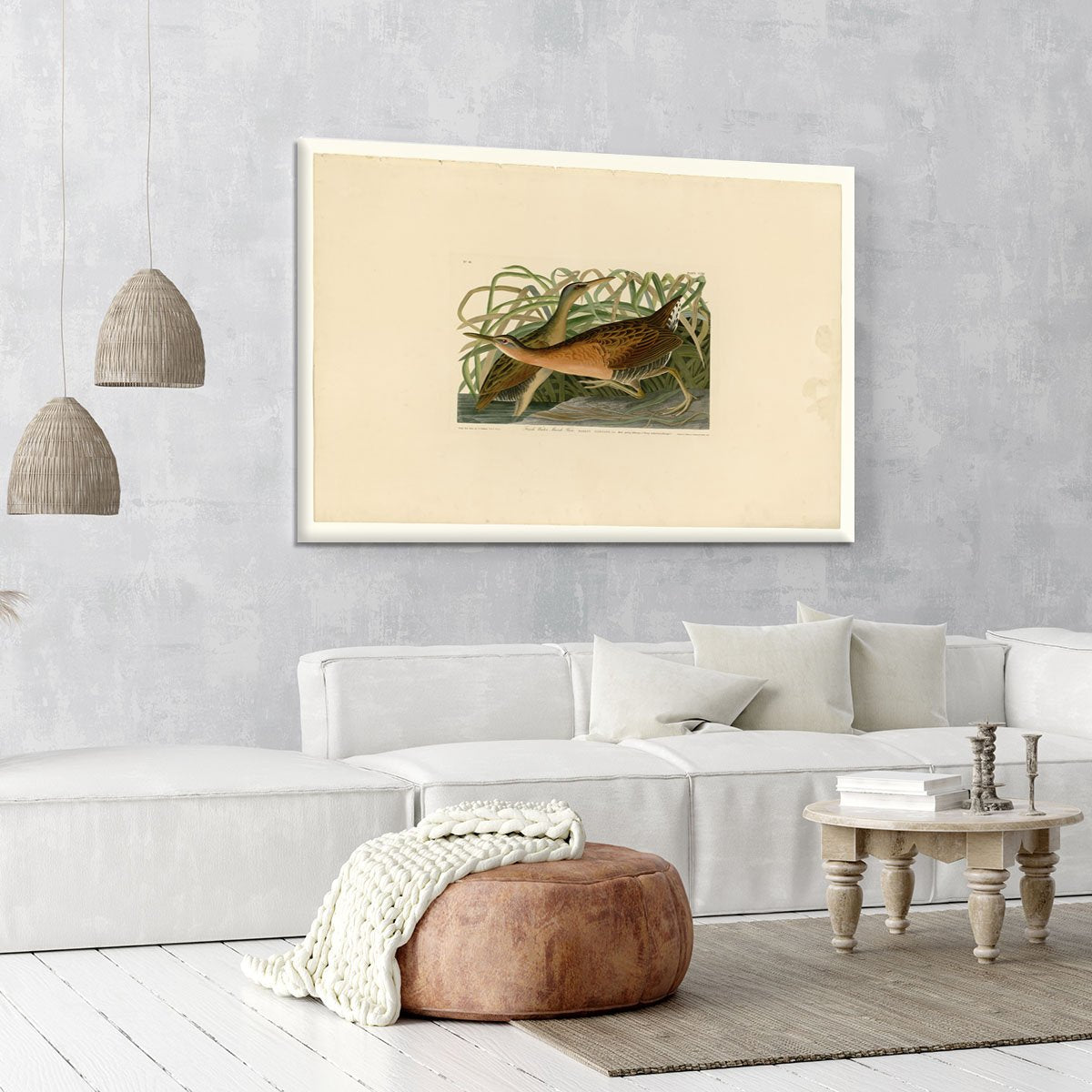 Fresh Water Marsh Hen by Audubon Canvas Print or Poster