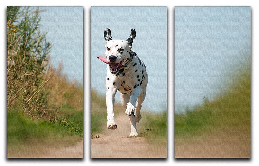 Front View of Exuberant Dalmatian Dog Running 3 Split Panel Canvas Print - Canvas Art Rocks - 1