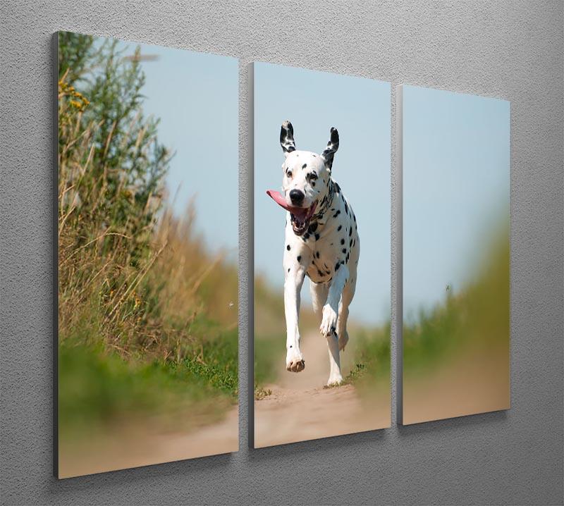 Front View of Exuberant Dalmatian Dog Running 3 Split Panel Canvas Print - Canvas Art Rocks - 2