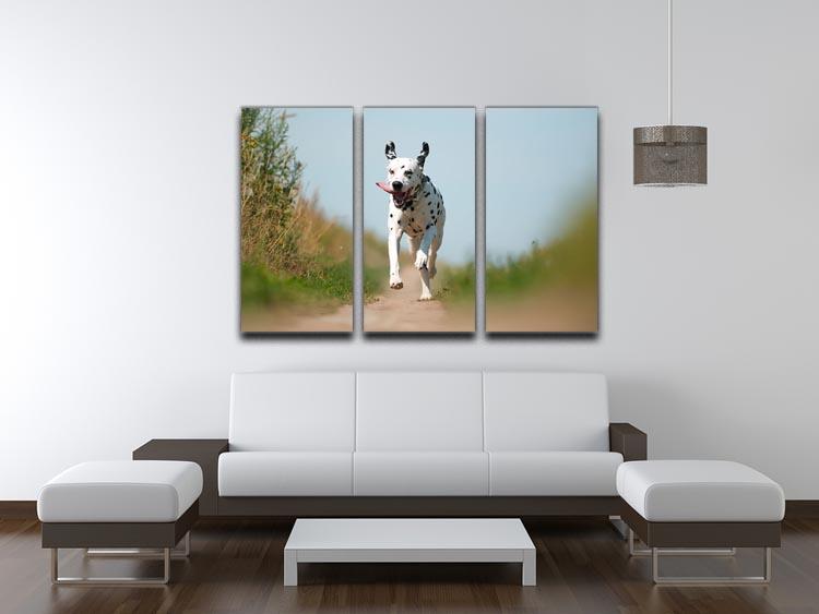 Front View of Exuberant Dalmatian Dog Running 3 Split Panel Canvas Print - Canvas Art Rocks - 3