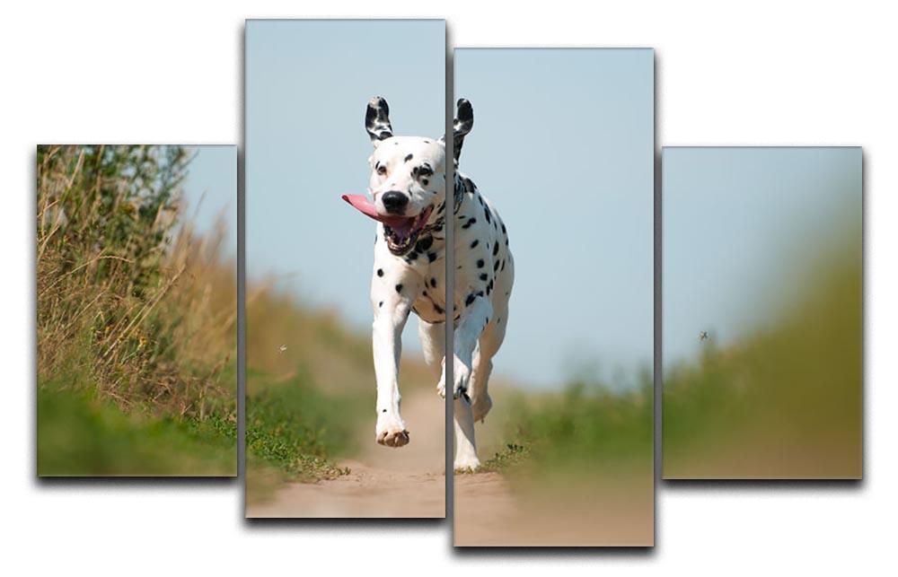 Front View of Exuberant Dalmatian Dog Running 4 Split Panel Canvas - Canvas Art Rocks - 1