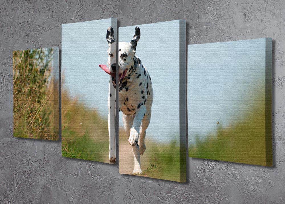 Front View of Exuberant Dalmatian Dog Running 4 Split Panel Canvas - Canvas Art Rocks - 2