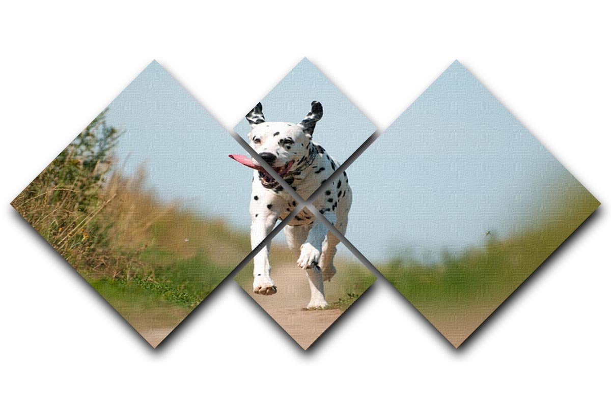 Front View of Exuberant Dalmatian Dog Running 4 Square Multi Panel Canvas - Canvas Art Rocks - 1