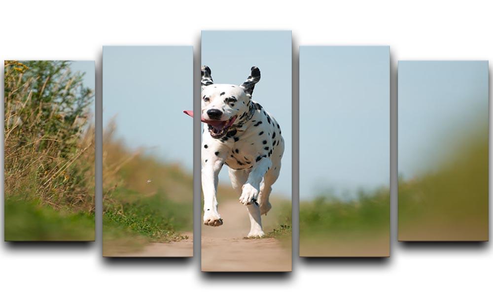 Front View of Exuberant Dalmatian Dog Running 5 Split Panel Canvas - Canvas Art Rocks - 1