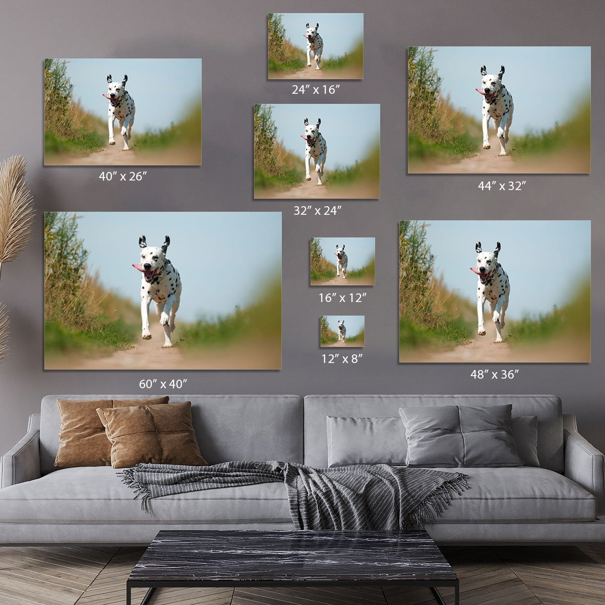 Front View of Exuberant Dalmatian Dog Running Canvas Print or Poster