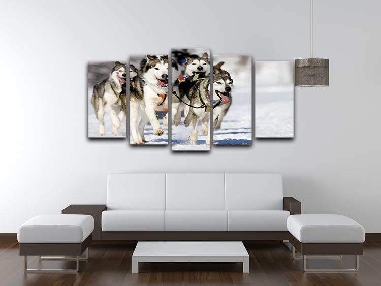 Front view at four siberian huskys 5 Split Panel Canvas - Canvas Art Rocks - 3