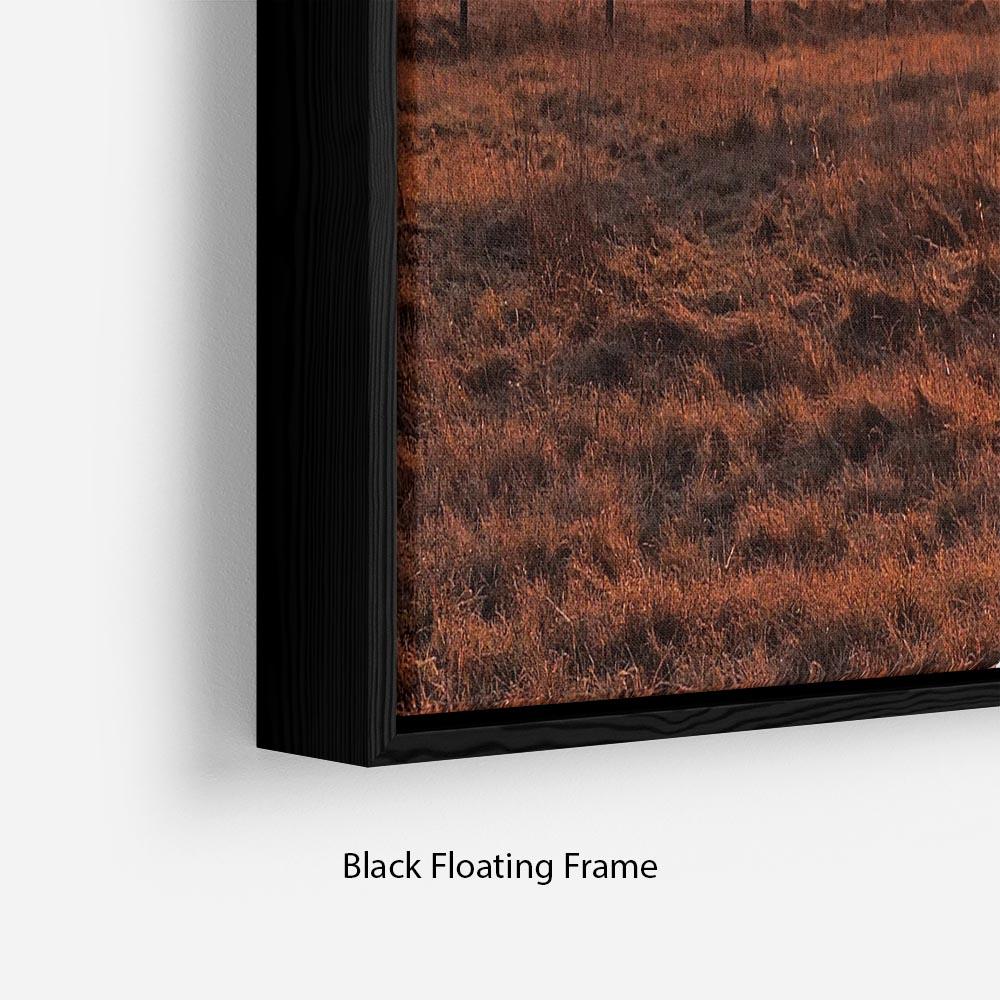 Frosty Morning Floating Frame Canvas - Canvas Art Rocks - 2