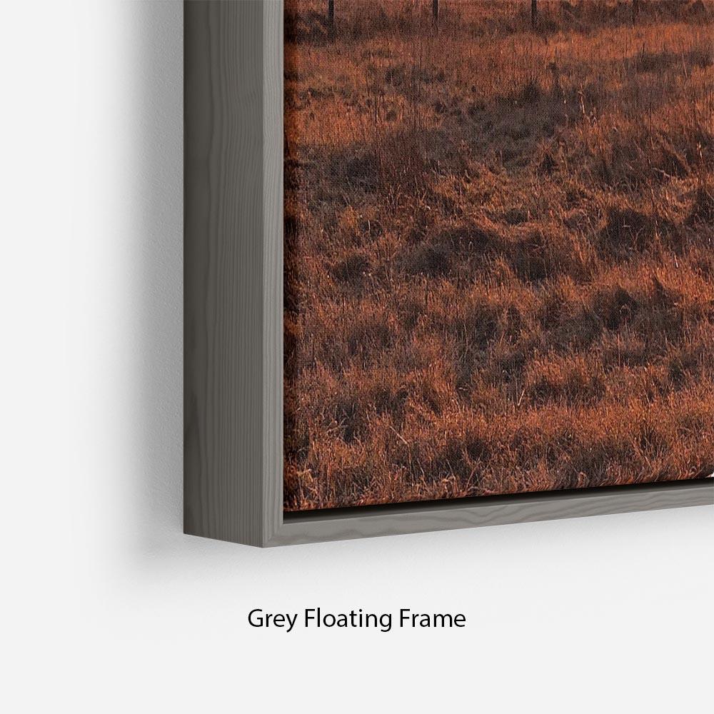 Frosty Morning Floating Frame Canvas - Canvas Art Rocks - 4
