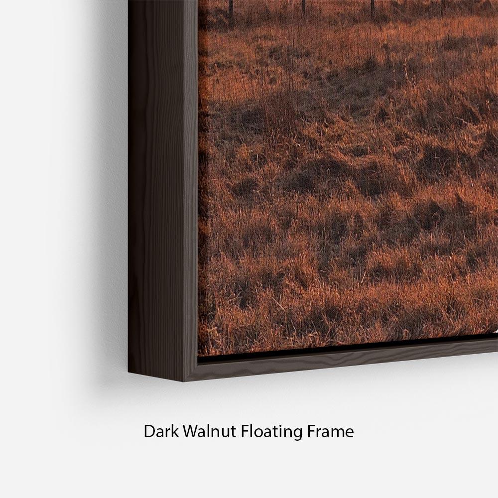 Frosty Morning Floating Frame Canvas - Canvas Art Rocks - 6