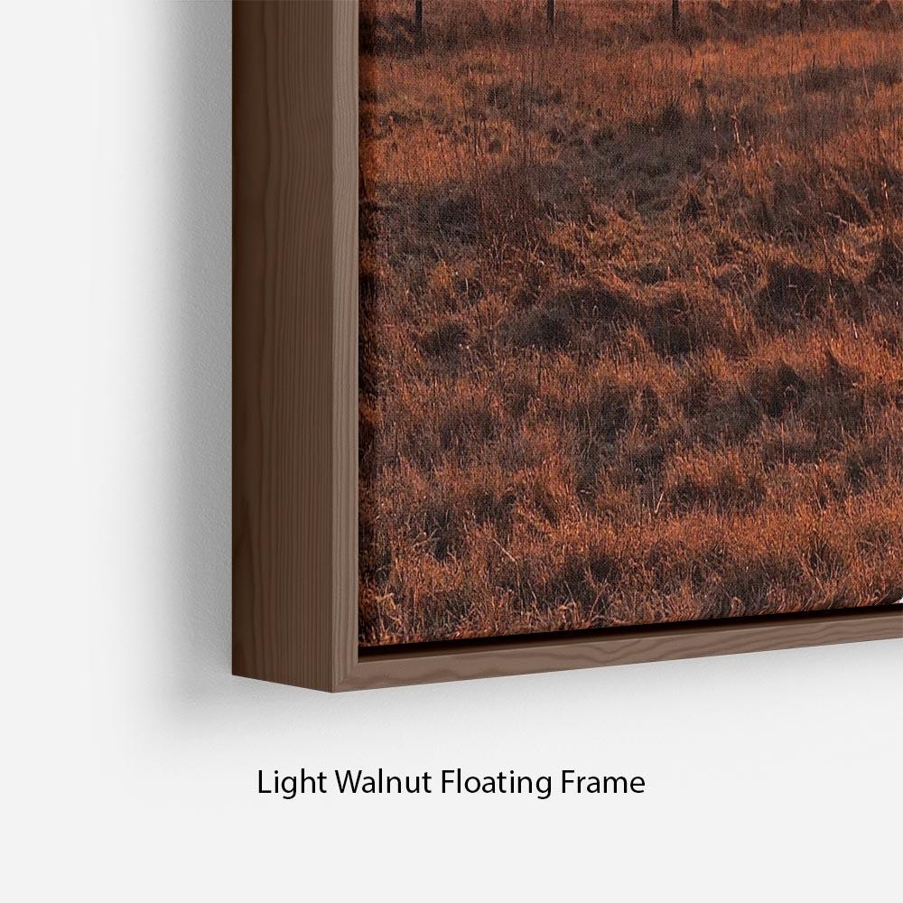 Frosty Morning Floating Frame Canvas - Canvas Art Rocks - 8