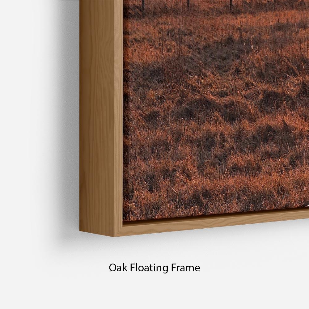 Frosty Morning Floating Frame Canvas - Canvas Art Rocks - 10
