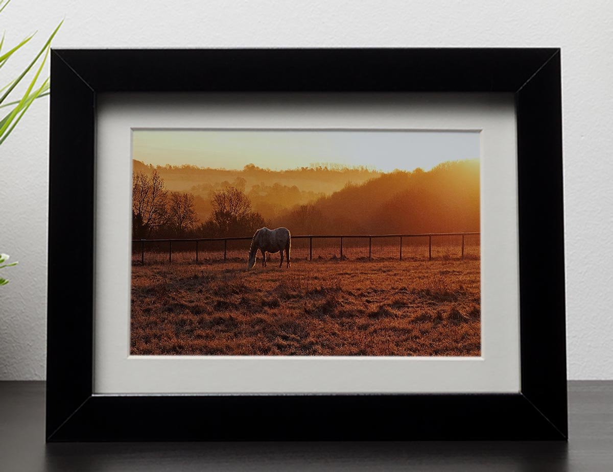 Frosty Morning Framed Print - Canvas Art Rocks - 1