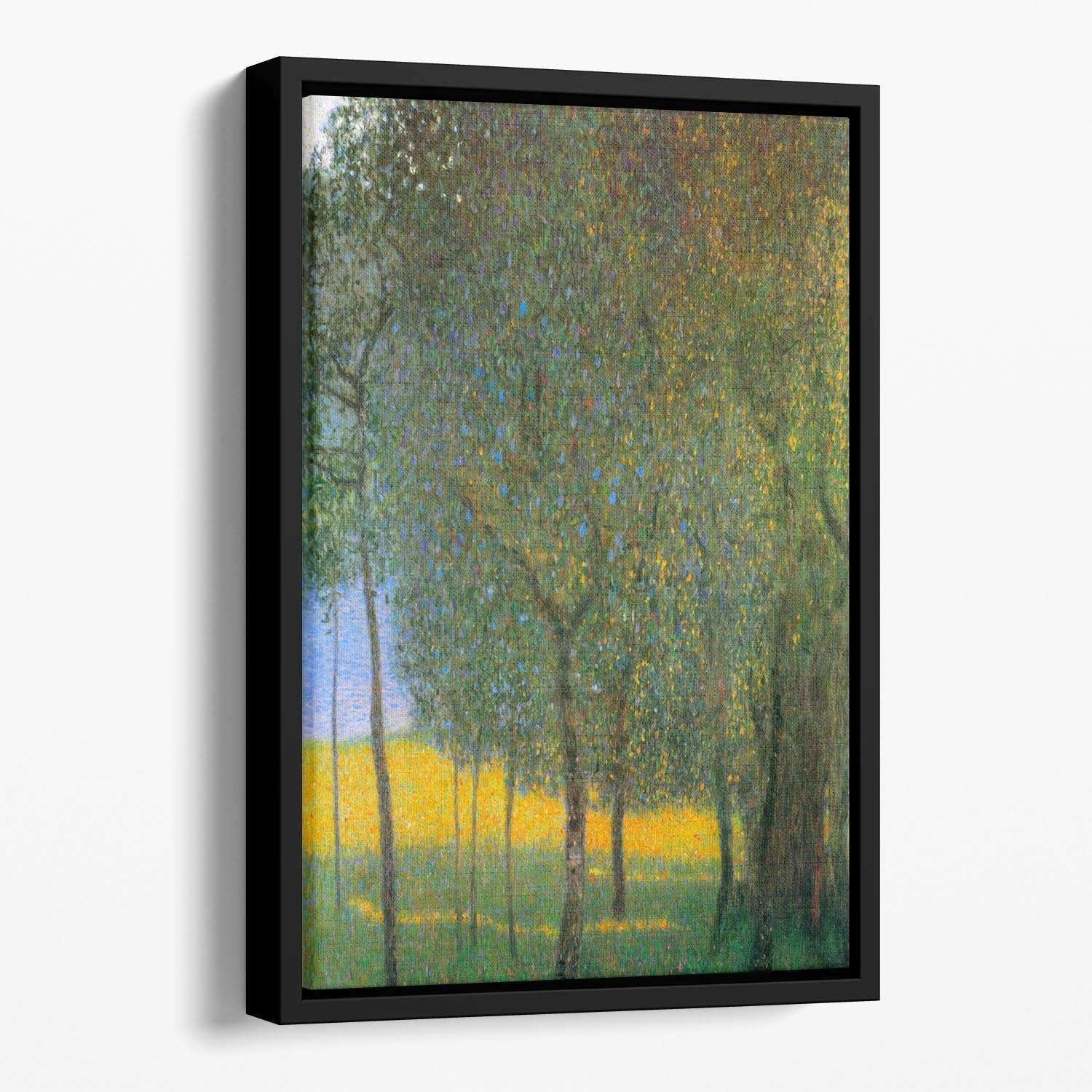 Fruit Trees by Klimt Floating Framed Canvas