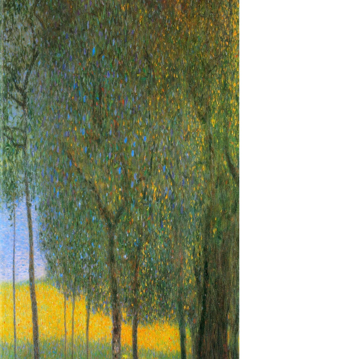 Fruit Trees by Klimt Floating Framed Canvas