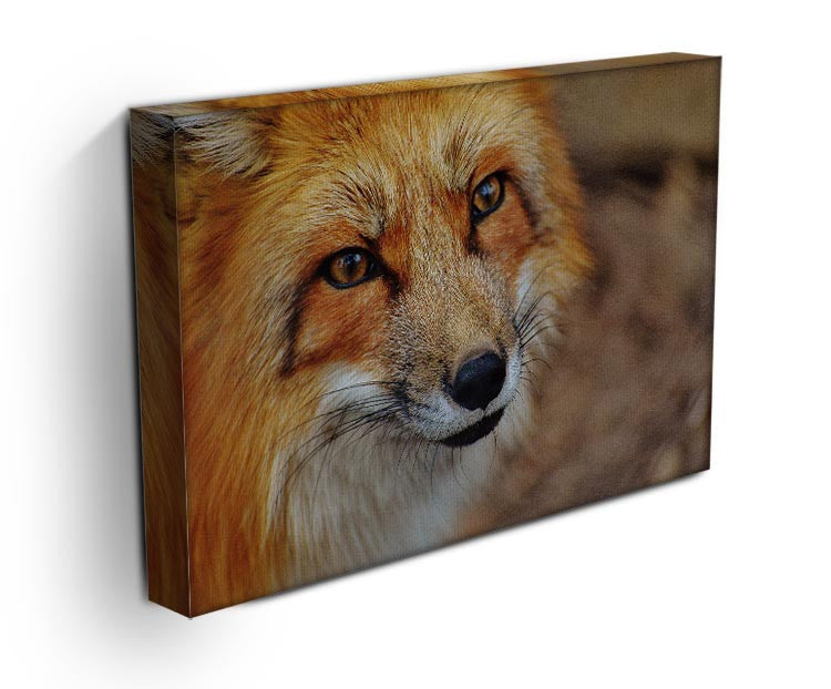 Fuchs Print - Canvas Art Rocks - 3