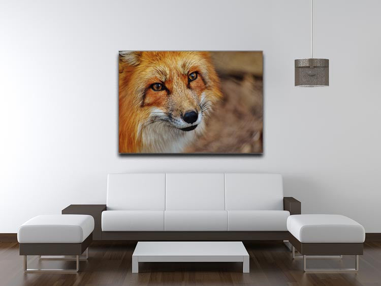 Fuchs Print - Canvas Art Rocks - 4