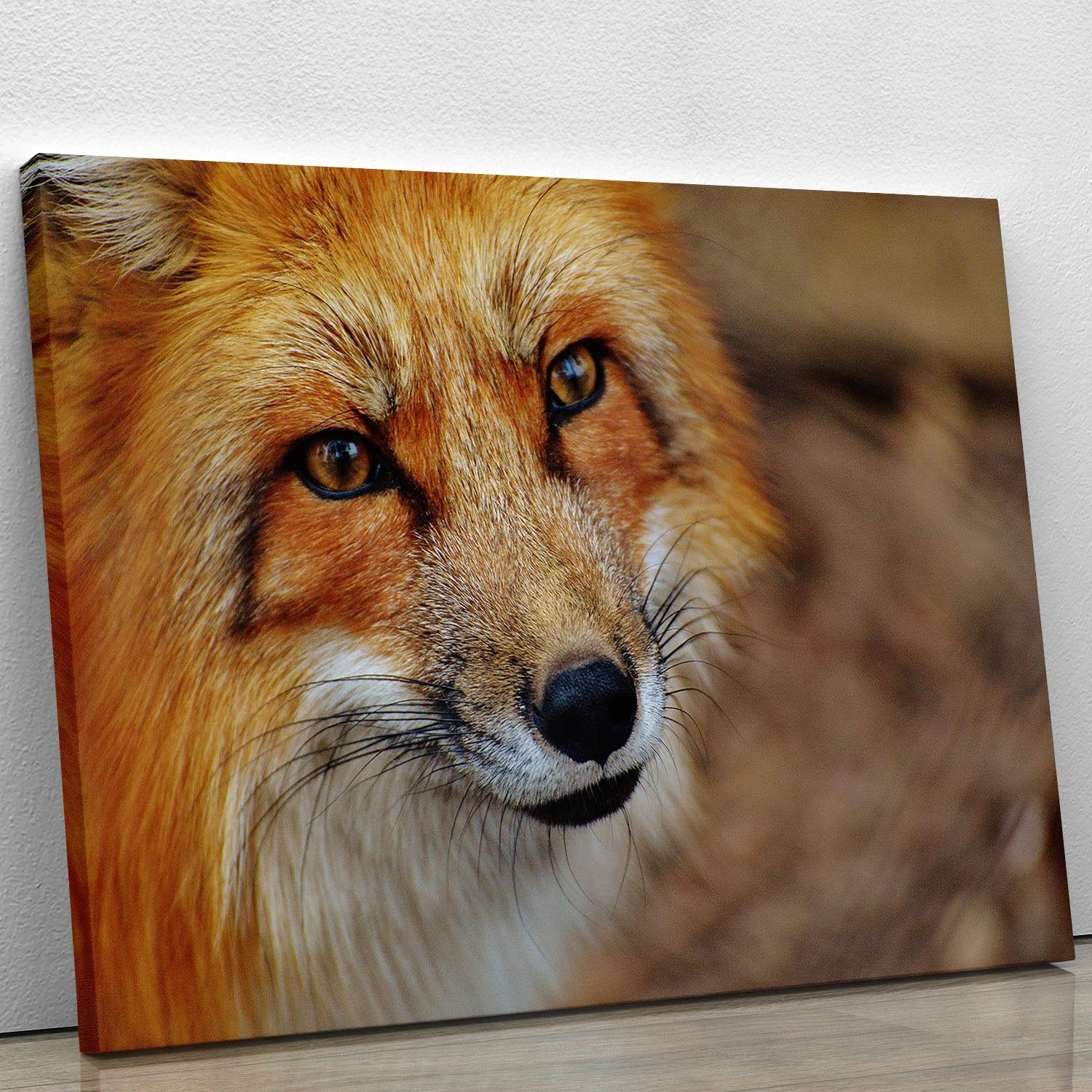 Fuchs Canvas Print or Poster