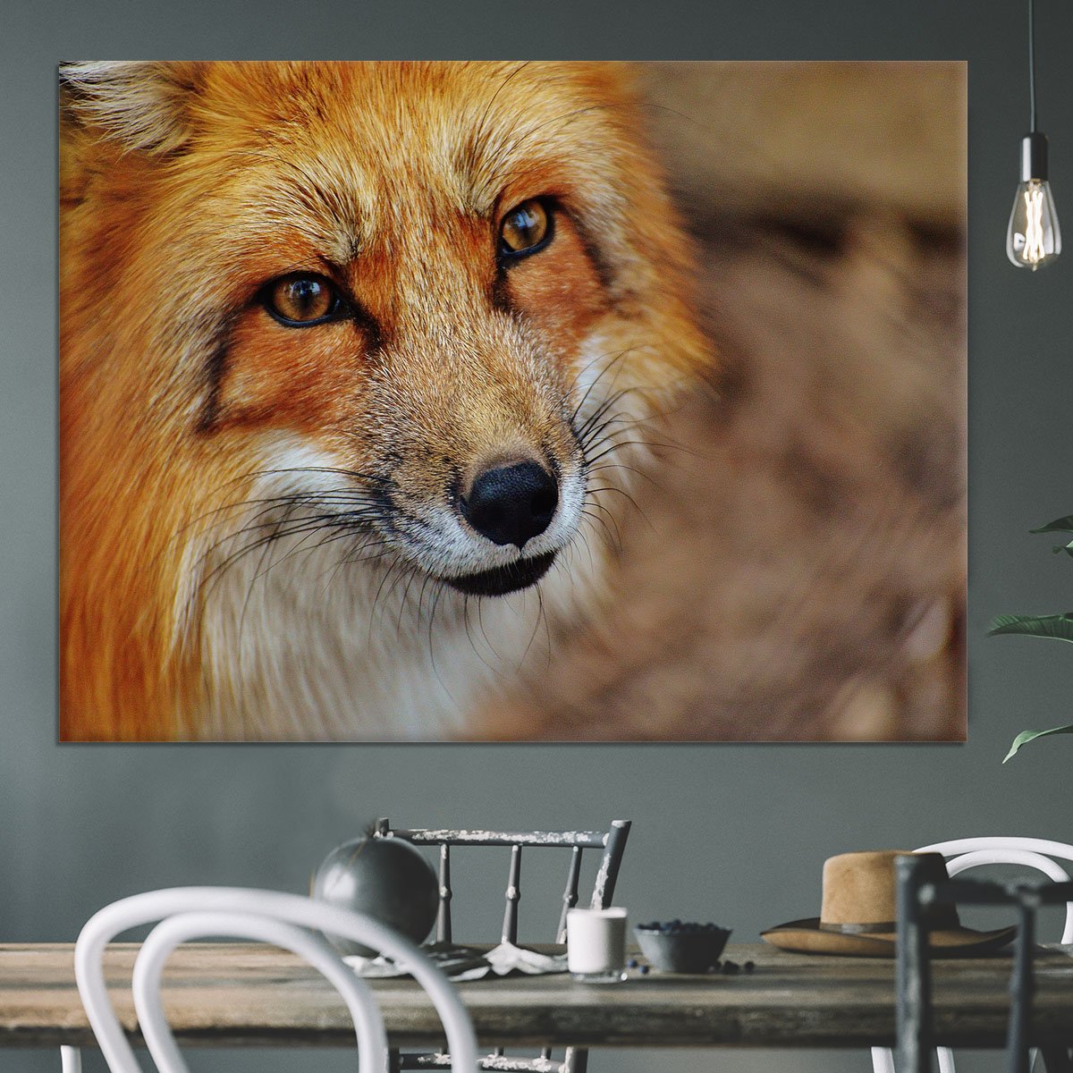 Fuchs Canvas Print or Poster