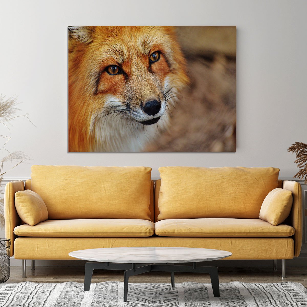 Fuchs Canvas Print or Poster