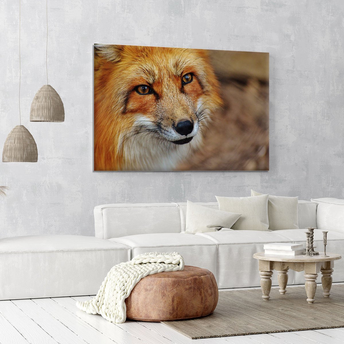 Fuchs Canvas Print or Poster