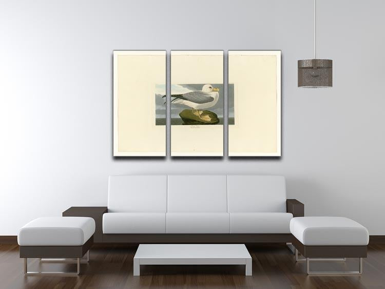 Fulmar Petrel by Audubon 3 Split Panel Canvas Print - Canvas Art Rocks - 3