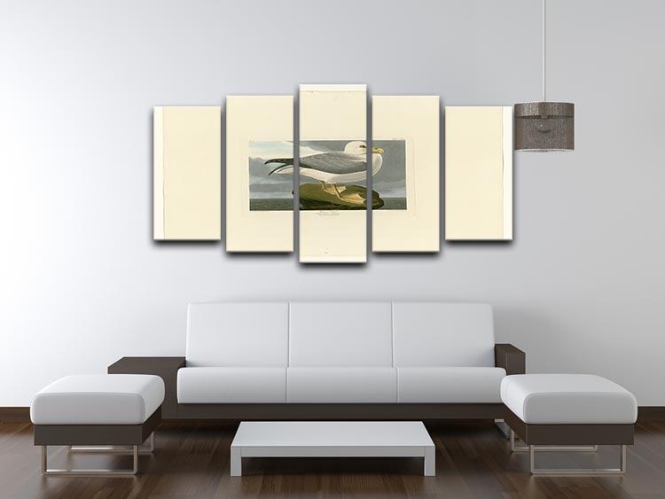 Fulmar Petrel by Audubon 5 Split Panel Canvas - Canvas Art Rocks - 3